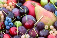 Mixed summer fruit including - cherry, blueberry, pear, plum, white currents, apple and goosberry.
