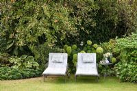 Two metal loungers and a small table in front of planting with, Hosta 'Sagae', Euphorbia amygdaloides var. robbiae, Kitaibela and Malus domestica