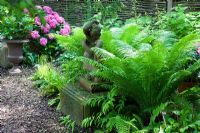 Shade tolerant planting with stone sculpture on a plinth next to willow trellis. Plants include, Hydrangea macrophylla and Matteucia struthiopteris