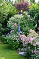 Sculpture of woman and other ceramic objects next to border of Buxus - Box, and Rosa 'Ballerina' 'Eden Rose'