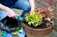 Lady planting a decorative pot, topping up with compost