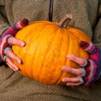 Woman holding organically grown Curcurbita pepo - Squash 'Lady Godiva', grown for its immature seeds harvested before their shells develop
