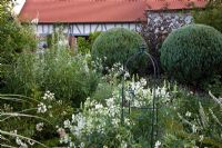 Country garden with timber framed house, topiary and metal obelisks. Rosa 'Swany', Chamaecyparis, Epilobium angustifolium 'Album', Lathyrus latifolius 'Albus' and Verbascum chaixii 'Album'