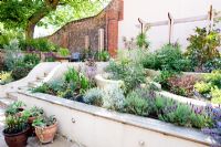 Steps through sloping small modern garden with white painted walls, terrace and tiered planting.
