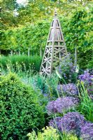 Summer border with wooden obelisk, backed by pleached Tilia - Lime hedge. Plants include Allium christophii, Penstemon, Achemilla mollis, Hesperis 
