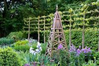 Formal early summer border with Iris 'Jane Philips', wooden obelisk and pleached Tilia - Lime hedge