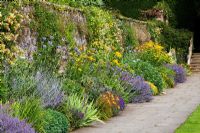 Dartington Hall, Devon. Historic Garden Grade II*. July. Dorothy Elmhirst's Sunny Border with Nepeta, Achillea, Hemerocallis, Agapanthus and Echinops