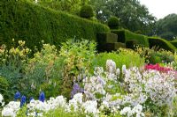 Herbaceous Border in early July backed by a Taxus - Yew hedge. Between the beds are handsome Yew finials designed by Rowland Egerton-Warburton and planted in 1856 - Arley Hall, Cheshire, early July