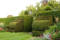 Clipped Taxus - Yew hedge with Yew finials designed by Rowland Egerton-Warburton and planted in 1856 - Arley Hall and Gardens, Cheshire, early July