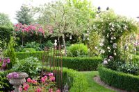 Rose garden with climbing and standard Roses in beds edged with low Buxus hedges. Rosa 'Apricot' , Rosa 'Ghislaine de feligonde' and  Rosa 'Laguna'