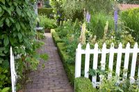 Brick path through cottage garden with Buxus edged bed and Lupinus - Lupins