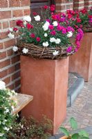 Dianthus - Carnations in baskets on plinths by front door - Scheper Town Garden 
 