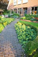 Brick path bordered by Alchemilla mollis and Buxus hedging - Broekhuis Garden