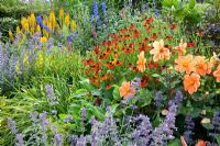 Border of Delphinium, Helenium 'Indianersommer', Nepeta 'Walkers Low', Ligularia przewalskii 'The Rocket', Lysimachia punctata, Dahlia 'Hemerik' - Broekhuis Garden 
 