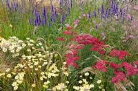 Achillea 'Red Velvet', Agastache 'Black Adder', Anthemis 'EC.Buxton', Stipa calamagrostis  and Sanguisorba obtusa. 'Grasses with Grace' - Gold Medal winner, RHS Flower Show Tatton Park, Cheshire 2011