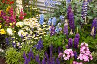 Colourful border. 'The Schedule' garden - Gold Medal winner, RHS Flower Show Tatton Park, Cheshire 2011
