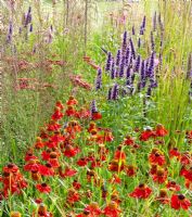 Helenium 'Moerheim Beauty', Agastache 'Black Adder', Sanguisorba obtusa, Molinia caerulea 'Transparent' on left, Calamagrostis x acutiflora 'Karl Foerster' at back. 'Grasses with Grace' - Gold Medal winner, RHS Flower Show Tatton Park, Cheshire 2011