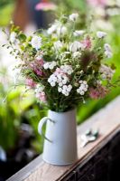 Consolida - Larkspur 'Pale Pink', Buplerum grifithii, Centaurea - Cornflower, Achillea p. 'The Pearl'