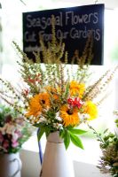 Shop display of Crocosmia 'Lucifer', Wild Teasel and Dock Flowers, Achillea ptarmica 'The Pearl' in jugs - Growing Together Nursery