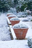Formal town garden with row of containers covered in snow, Oxford, UK. 
