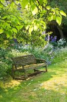 Mossy wooden bench under tree