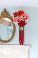 Mantelpiece with vase filled with cut flowers of Amaryllis -Hippeastrum 'Charisma', 'Ferrari' and 'Benfica'
 

