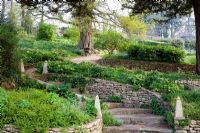 Curving stone steps in terraced spring garden