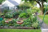 Vegetable plot in cottage garden with greenhouse 