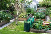 Fruit tree and vegetable plot in cottage garden