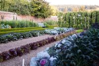 Rows of vegetables in Walled Kitchen Garden West Dean, Sussex