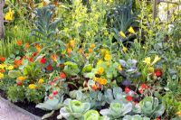 Vegetable garden with companion planting 