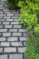A cobbled path of stone setts and gravel bordered by Dianthus carthusianorum Alchemilla mollis and Taxus 
