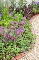 Curved border of Geranium and Allium christophii with red brick edging