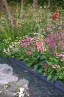 Early summer border next to pond of Astrantia 'Roma', Iris barbata 'Dutch Chocolate', Deschampsia cespitosa, Digitalis mertonensis, Foeniculum vulgare 'Giant Bronze' and Anthriscus sylvestris 'Ravenswing' - The Laurent-Perrier Garden - Nature and Human Intervention - Gold Medal Winner, RHS Chelsea Flower Show 2011  