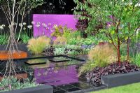 Lush and vibrant planting of Yellow and Gold contrasting with purple wall. 'Save a life, Drop The Knife' Garden. RHS Tatton Park Flower Show 2011
