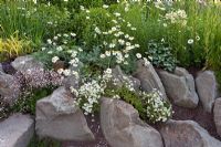 Rock garden  - 'A Garden for Life' - Awarded Gold and best in show - RHS Malvern Spring Gardening Show 2011
 