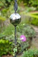 Decorative metal ornament as a support for Ipomoea - Morning Glory,  Garden Hackl, Mistelbach Austria