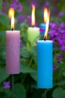 Candles amongst purple honesty 