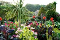 Island bed in the front garden is full of colourful exotics including a tall Cordyline, purple leaved Cannas, pink Cleomes, Eucomis and variegated Abutilon pictum 'Thompsonii' - Isle of Wight, UK
