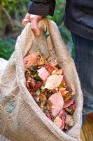 Collecting leaves in compostable leaf sack