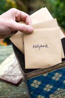 Collecting and storing seeds of Hollyhock