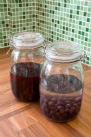Making home-made Sloe Gin - Jars of berries soaking in gin and sugar 