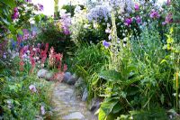 Cobble stone path leading through stone edged borders -  Rosa 'Sourire d'Antan', Nepeta subsessilis, Verbascum chaixxii 'Album, Tillsammans med, Campanula persicifolia, Geranium 'Patricia', Rosa 'Fritz Nobis', Rosa 'Elmshorn', Centranthus Ruber, Geranium endressii, Heuchera