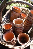 Terracotta pots in wicker basket