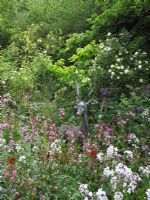 Stag sculpture half concealed in a semi-wild mix of cottage garden flowers
                      