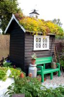 Garden shed with living roof - The Home front garden - Hampton Court 2011 