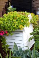 Composter with living roof - The Home Front Garden - Hampton Court Flower Show 2011