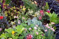 Mixed edible summer border with herbs and vegetables 