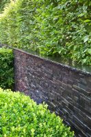 A wet slate stone wall with Carpinus hedge and Buxus ball