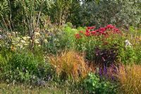 Grasses and herbaceous perennials in mixed summer border 